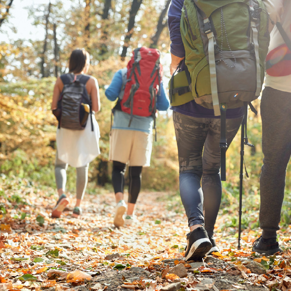 Walking Group service